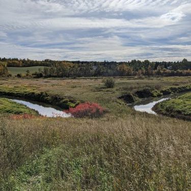 Bellerose River Walk