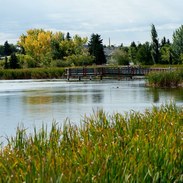 Telford Lake